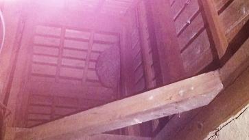 滋賀県甲賀市甲南町で屋根裏に営巣したキイロスズメバチの蜂の巣駆除