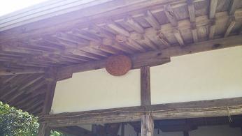 滋賀県近江八幡市で弊殿の軒下に営巣したキイロスズメバチの蜂の巣駆除