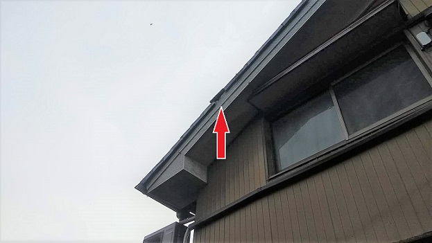 滋賀県大津市で２階屋根軒天内に営巣したモンスズメバチの蜂の巣駆除