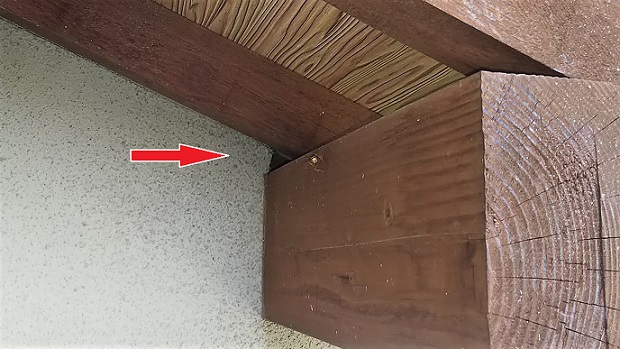 滋賀県大津市で１階の屋根裏に営巣したキイロスズメバチの蜂の巣駆除