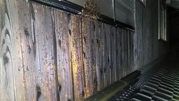 奈良県 奈良市　蜂の巣駆除（スズメバチ）