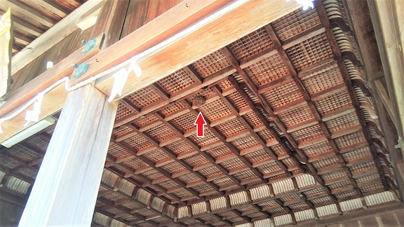 滋賀県彦根市で神社の神楽殿の天井に営巣したコガタスズメバチの蜂の巣駆除