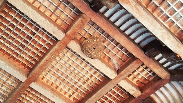 滋賀県彦根市で神社の神楽殿の天井に営巣したコガタスズメバチの蜂の巣駆除
