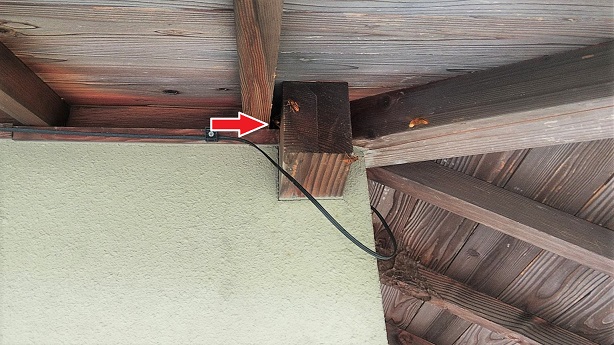 滋賀県近江八幡市で２階屋根裏に営巣したキイロスズメバチの蜂の巣駆除