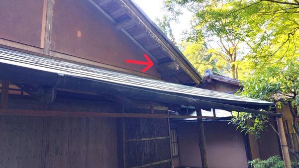 京都府京都市右京区で茶室の屋根裏に営巣したキイロスズメバチの蜂の巣駆除