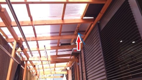 滋賀県大津市で倉庫の屋根に営巣したコガタスズメバチの蜂の巣駆除