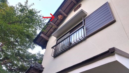 滋賀県大津市で２階ケラバ軒天に営巣したキイロスズメバチの蜂の巣駆除