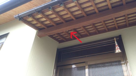 滋賀県東近江市で玄関ポーチの天井に営巣したコガタスズメバチの蜂の巣駆除