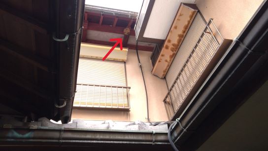 滋賀県湖南市で２階軒下に営巣したキイロスズメバチの蜂の巣駆除