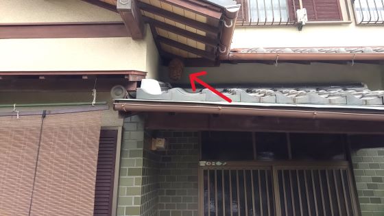 滋賀県草津市で玄関屋根の上に営巣したコガタスズメバチの蜂の巣駆除