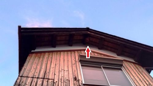 滋賀県野洲市で２階軒下に営巣したキイロスズメバチの蜂の巣駆除