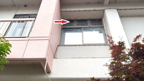 滋賀県野洲市で医療施設の2階窓に営巣したコガタスズメバチの蜂の巣駆除