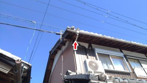 滋賀県甲賀市土山町で２階屋根裏に営巣したキイロスズメバチの蜂の巣駆除
