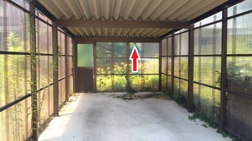 福井県小浜市でガレージに営巣したコガタスズメバチの蜂の巣駆除