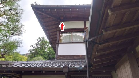 京都府京都市東山区で２階軒下に営巣したキイロスズメバチの蜂の巣駆除