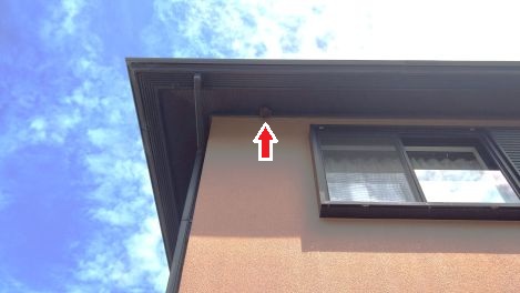 滋賀県湖南市で２階軒下に営巣したアシナガバチの蜂の巣駆除