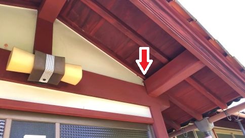 滋賀県長浜市で玄関の天井裏に営巣したキイロスズメバチの蜂の巣駆除