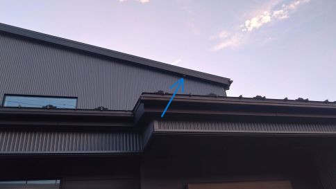 滋賀県高島市で２階軒下に営巣したアシナガバチの蜂の巣駆除