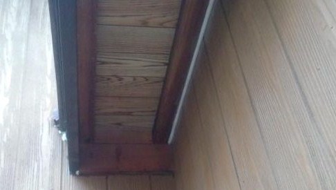 福井県小浜市で屋根裏に営巣したキイロスズメバチの蜂の巣駆除